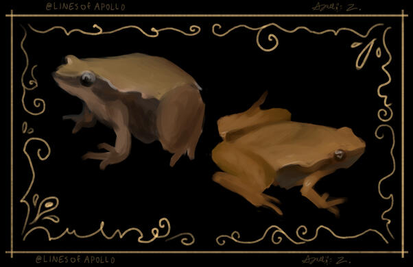 Of a frog I found in my home, painted for 2025 "Frog-tober"